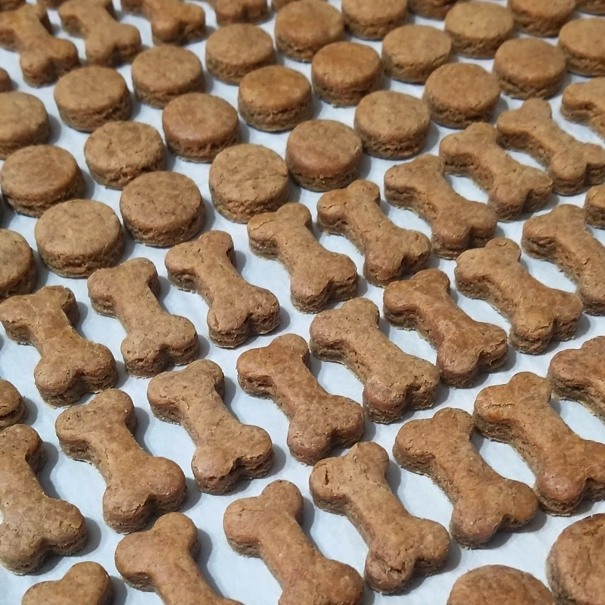 Baked Peanut Butter dog treats