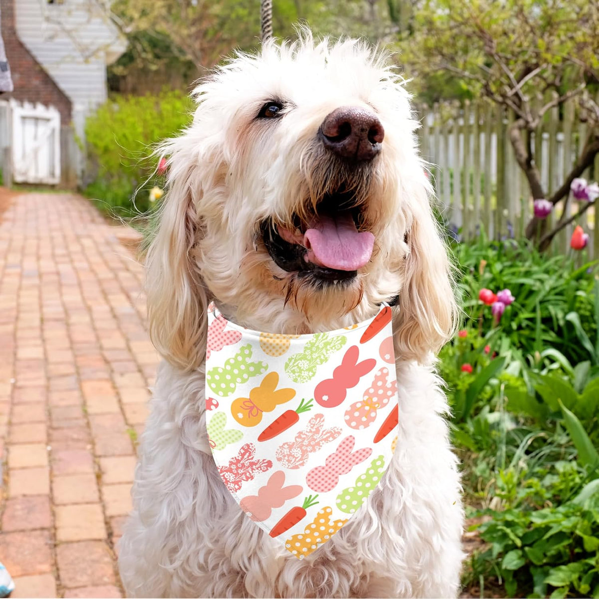 Bandana